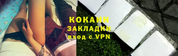 прущие грибы Абинск